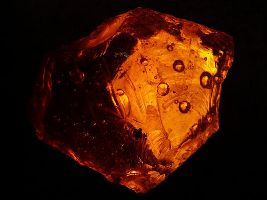 Amber Origins: The Complete FAQ on Fossilized Tree Resin Formation