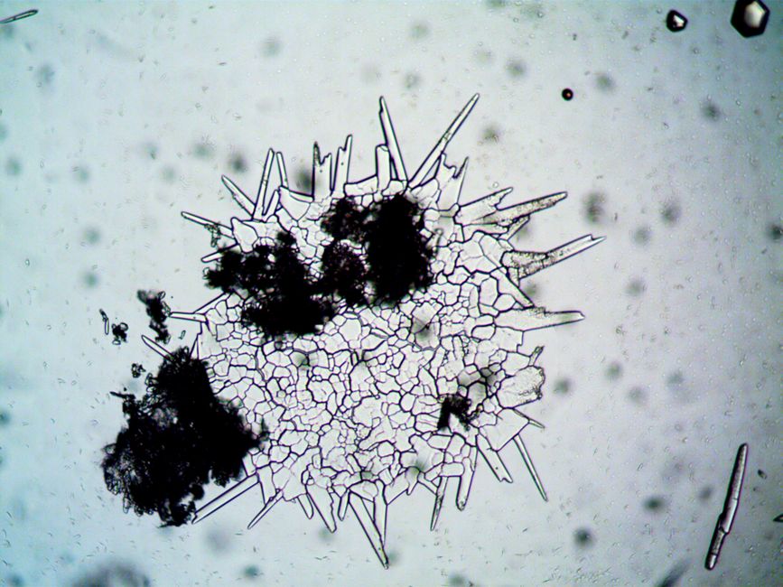 Reading Growth History in Lab-Grown Diamond: What Microscopy Reveals and What It Cannot