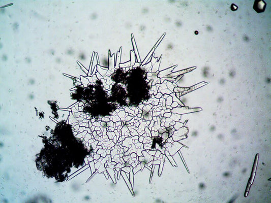 Reading Growth History in Lab-Grown Diamond: What Microscopy Reveals and What It Cannot
