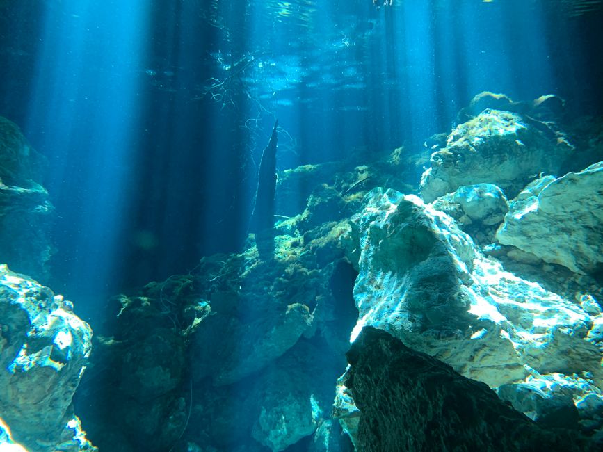 The Sunken Citadel of Coral: How Ancient Minoans Worshipped the Sea Through Blue-Green Gems