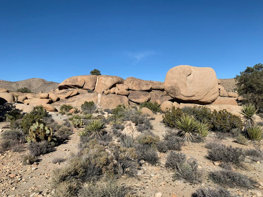 Moonstone Storage and Protection: A Complete Guide for Humid and Arid Climates