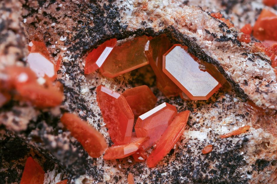 Cat's Eye Chrysoberyl: The Science and Lore of the World's Most Coveted Phenomenon Stone