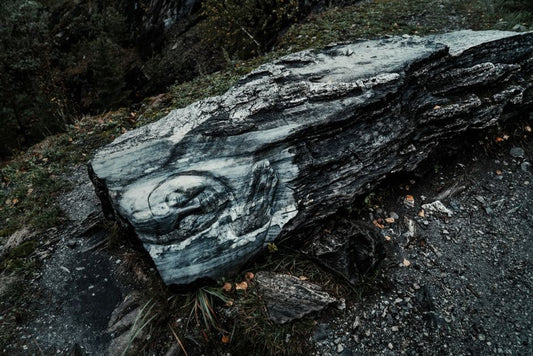 Serpentine, Dowry, and the Fiscal Logic of Carved Stone in Early Modern Central Europe