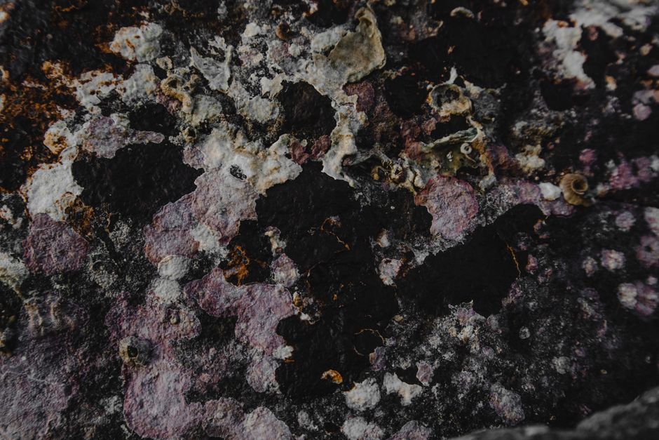 Sugilite Care: Protecting a Porous Purple Stone from Chemical Damage