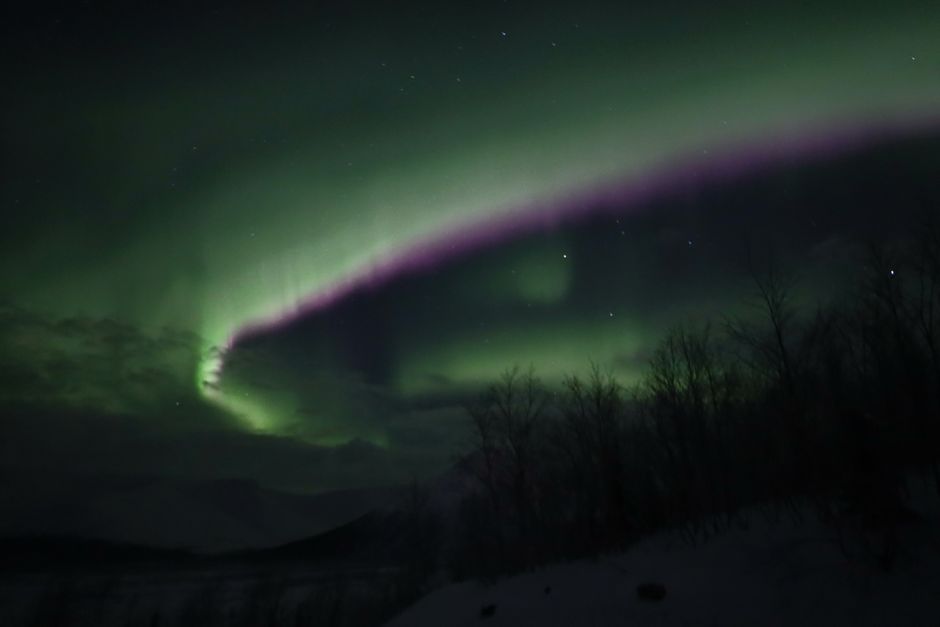 The Aurora of Empires: How Labradorite’s Northern Lights Captivated Royal Courts from Byzantium to the Vikings