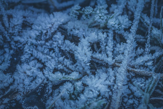 The Seasonal Tanzanite Keeper: A Before-and-After Care Story for Every Climate