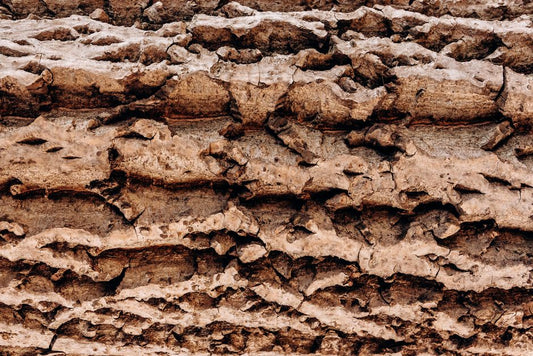 The Color of Andalusite: How Trace Elements Shape Its Zoned Appearance