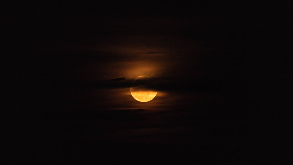 Amber Under the Moon: A Lunar Ritual Guide for Warmth and Clarity