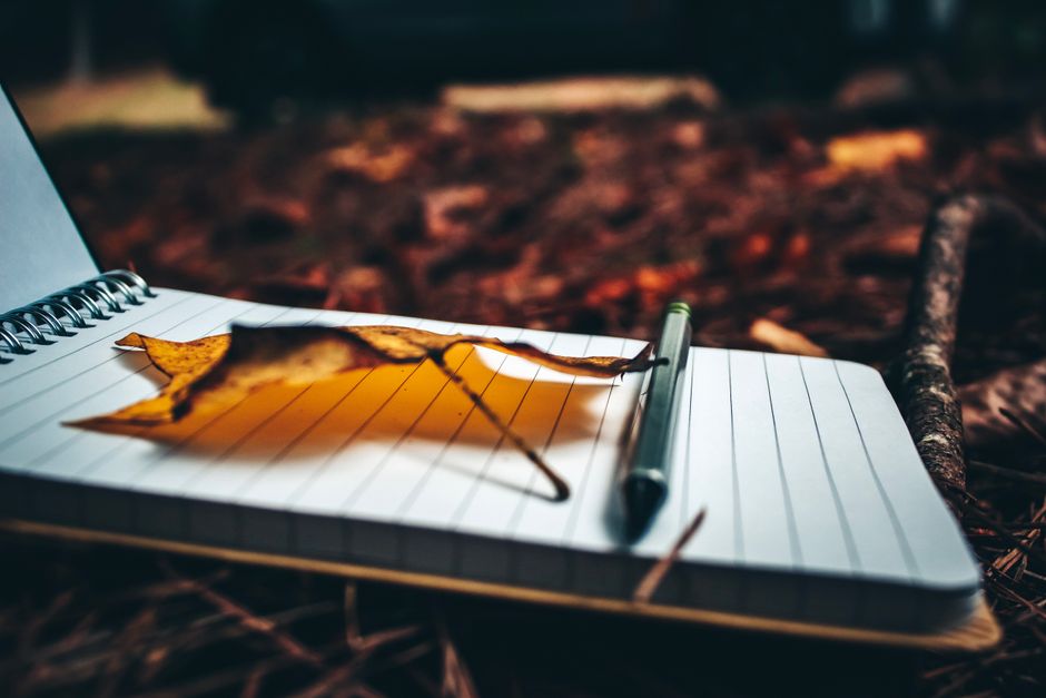 Tiger's Eye and the Changing Seasons: A Journaling Practice for Transitions