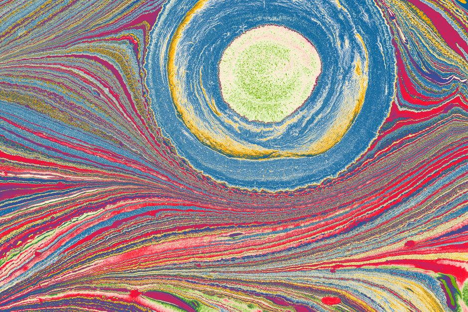 Boulder Opal Matrix Patterns: A Collector's Guide to Geological Fingerprints and Valuation