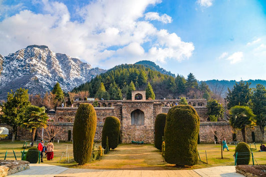 The Voice of the Sapphire: Oral Traditions and Alchemical Wisdom of Kashmir's Blue Stone