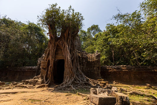 Green Stone, Many Names: How Serpentine Moved Between Sacred, Social, and Commercial Worlds