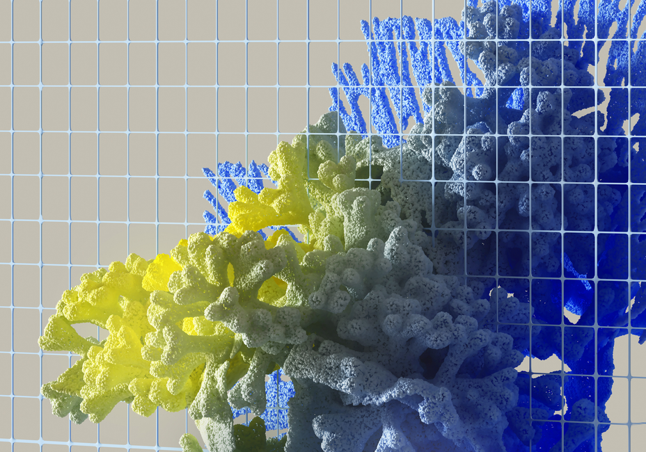 Coral and Directional Color: Why Pleochroism Does Not Apply