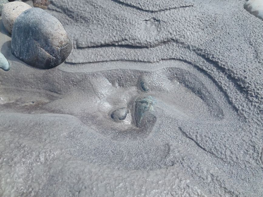 Natural Pearl Formation: Debunking the Myth of the Grit of Sand