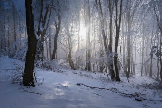 Boulder Opal in Winter: Dream Work and Sleep Support for the Season of Stillness