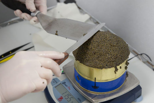 Detecting Treatment in Cultured Pearls: What the Evidence Chain Can and Cannot Prove