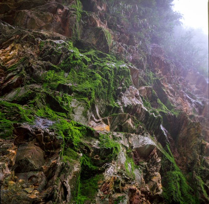 Jadeite Care in Humid Climates: Protecting Your Stone from Mold, Moisture, and Thermal Stress