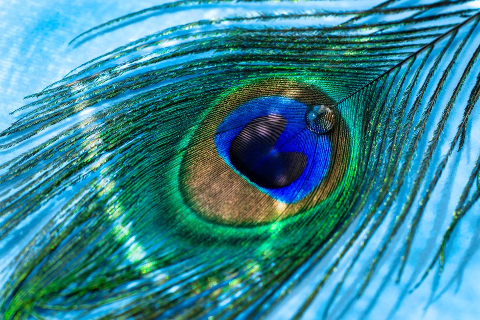Malachite’s Chatoyancy and Optical Illusions: The Science Behind the Green Eye