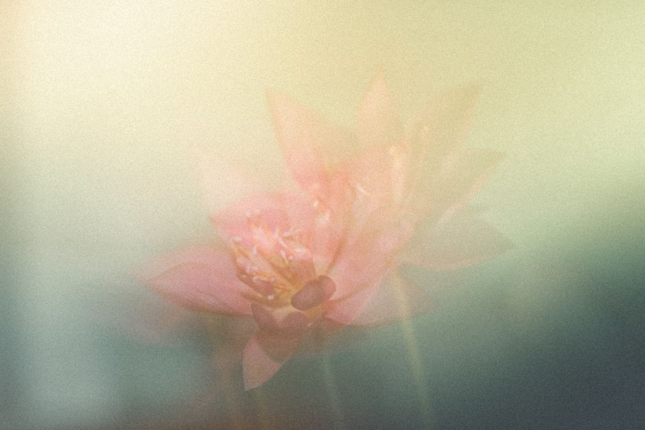 Padparadscha Sapphire: A Buyer's Guide to the Lotus Flower Gem and Its Metaphysical Allure
