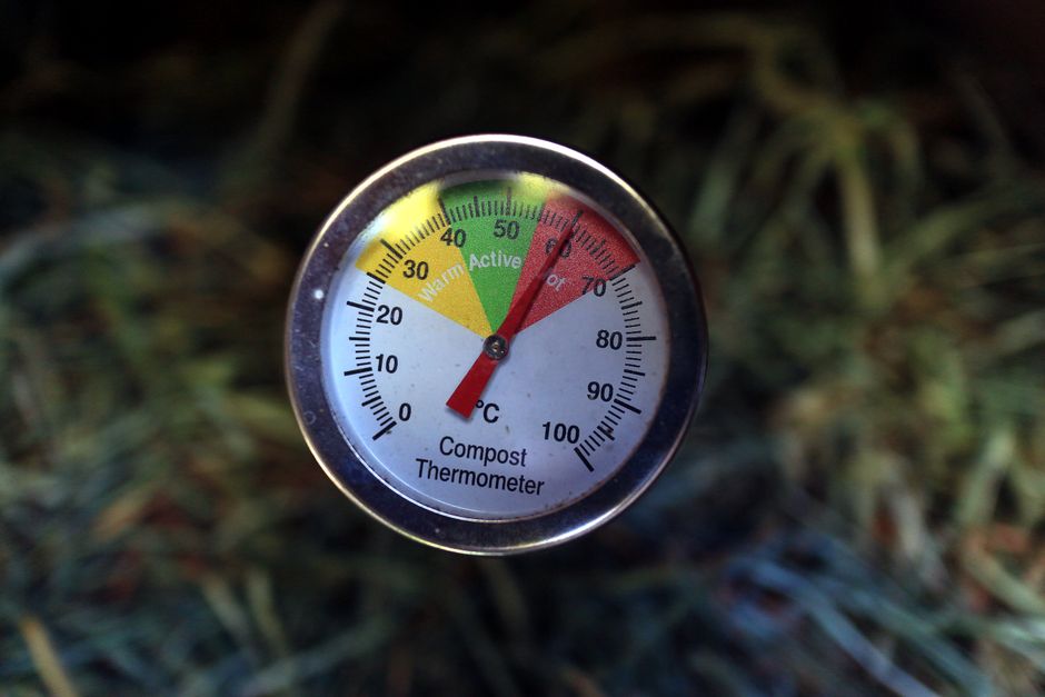 Fluorite Care: Does Temperature Change or Exposure Time Really Matter?