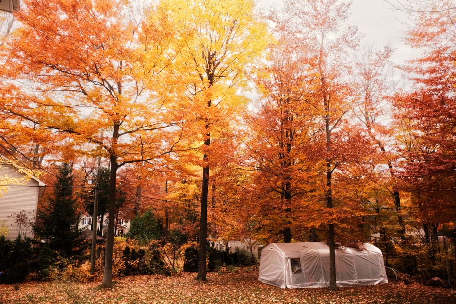 Moonstone Seasonal Care: Essential Dos and Don'ts for Every Weather Change