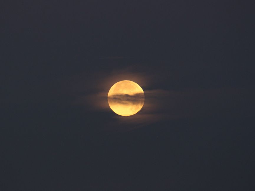 Hawk's Eye and Self-Compassion During Eclipse Seasons: Setting Boundaries Without Harshness