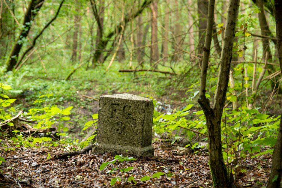 Kunzite as a Boundary Stone for Truthful Speech