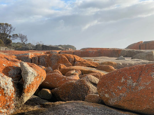 How to Identify and Evaluate Boulder Opal Optical Phenomena: A Step-by-Step Guide