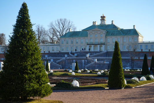 Shungite in the Russian Imperial Court: The Stone of Peter the Great and the Rise of a Royal Remedy