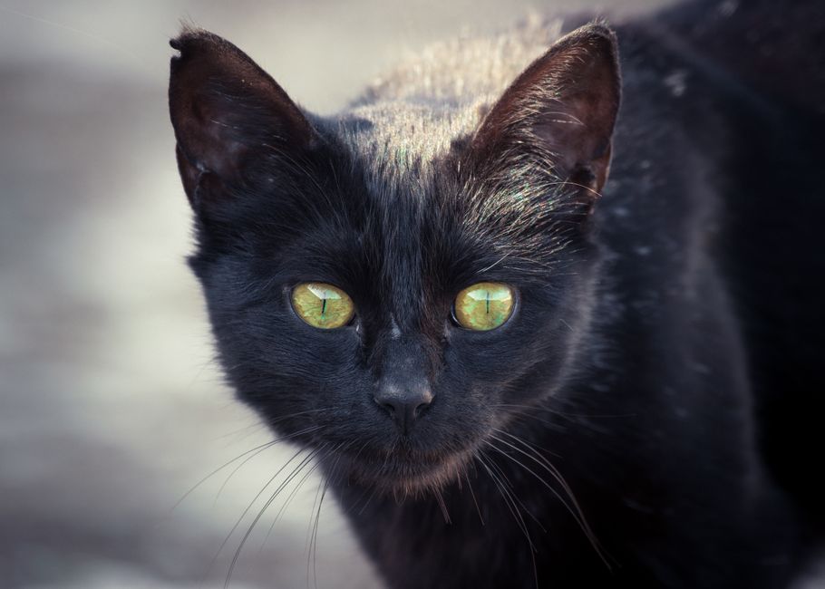 Chatoyancy in Cat's Eye Chrysoberyl: Ancient Lore to Modern Science