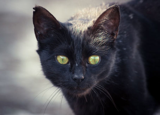 Chatoyancy in Cat's Eye Chrysoberyl: Ancient Lore to Modern Science