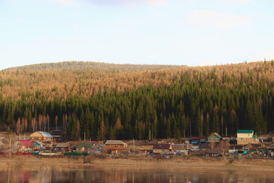 Charoite: Separating Fact from Fiction About This Siberian Marvel