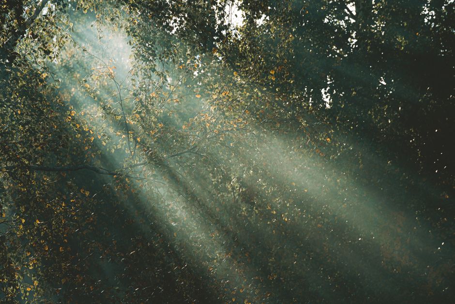 Seasonal Chrysoberyl Care: Storage and Protection Through the Year