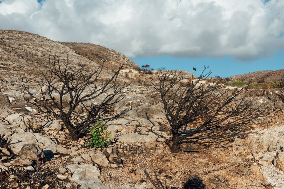 Calcite Jewelry in Humid and Dry Seasons: Comparing Care Before and After Environmental Damage