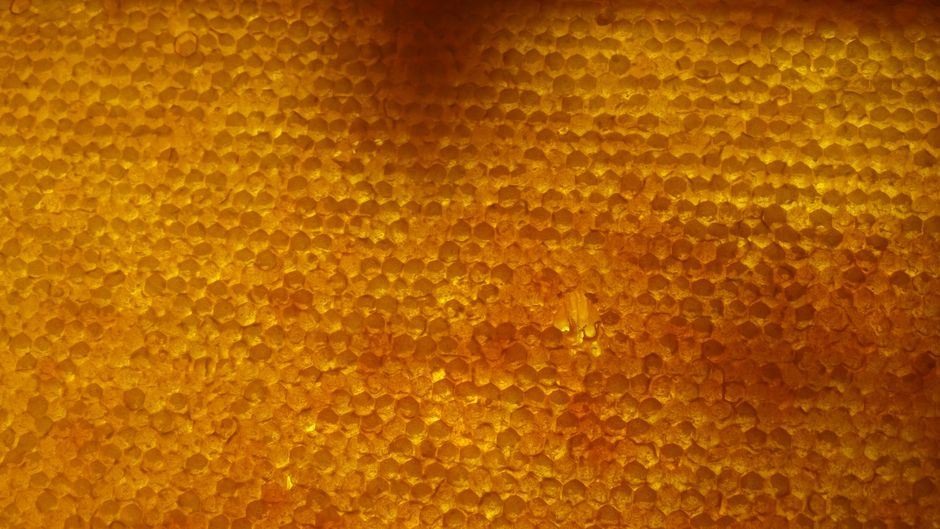 Beekeeping the Pleistocene: The Geological Genesis and Mining Realities of Beeswax Amber