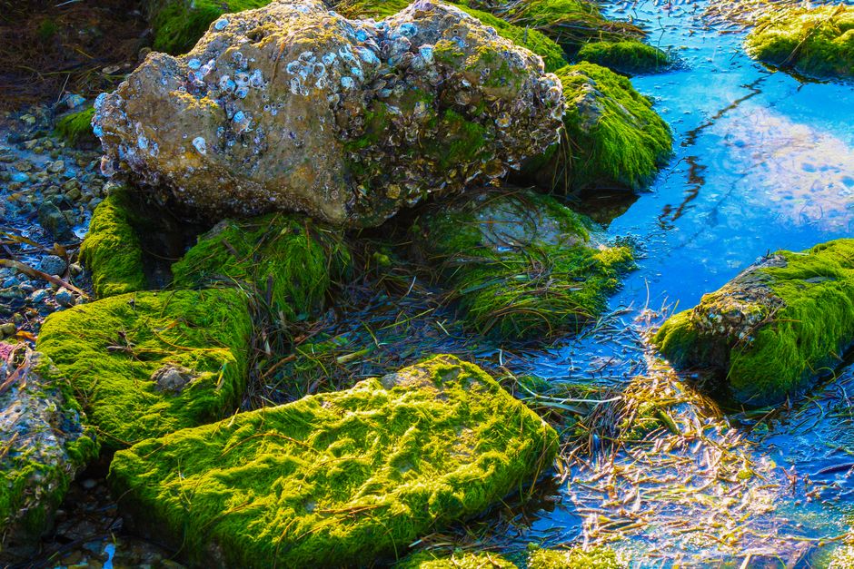 Moss Agate Color Zoning: Why Green Patterns Are Not Growth Zoning