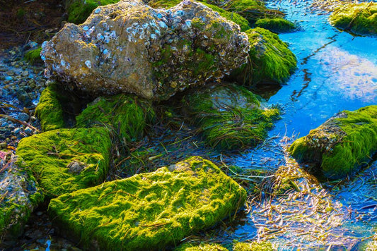 Moss Agate Color Zoning: Why Green Patterns Are Not Growth Zoning
