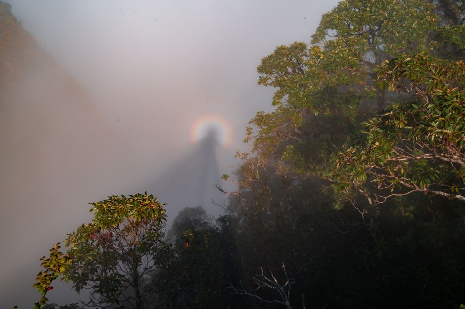 Labradorite's Optical Phenomenon: A Geologist's Guide to the Flash and Its Origins
