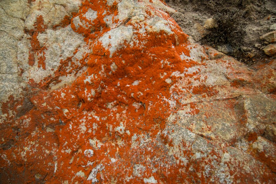 Spinel in the Rough: A Geologist’s Guide to Its Formation, Identification, and Value