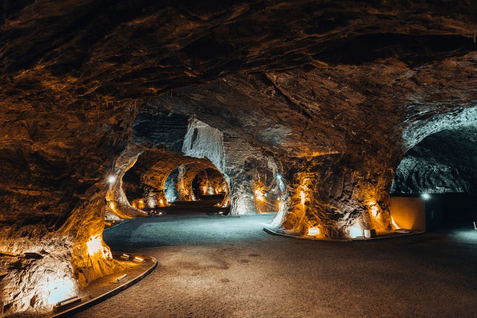 Amber Formation: Geological Facts vs. Common Myths