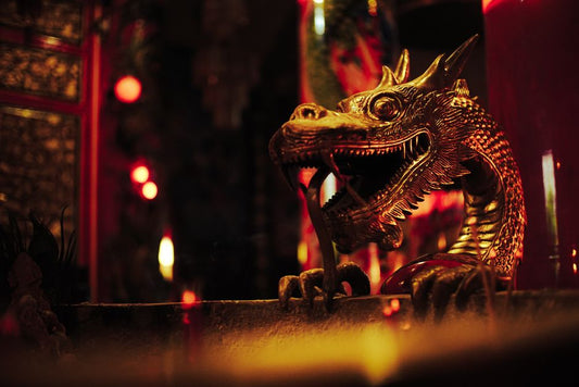 The Ruby of the Dragon's Heart: A Burmese Myth Retold