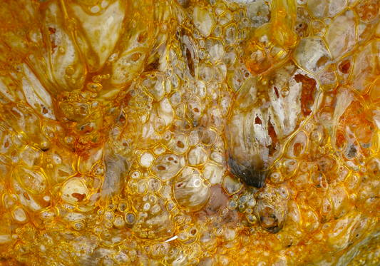 Beeswax Amber Treatment Identification: A Visual Guide to Heat, Pressure, and Reconstituted Enhancements