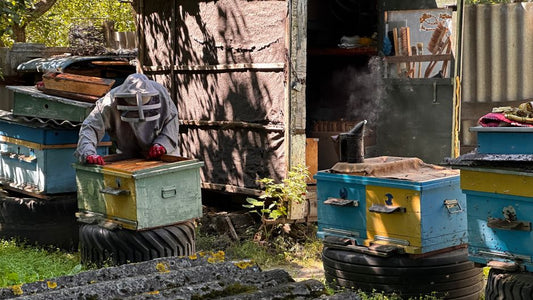 Beeswax Amber Setting Inspections: Why Keep a Care Record?