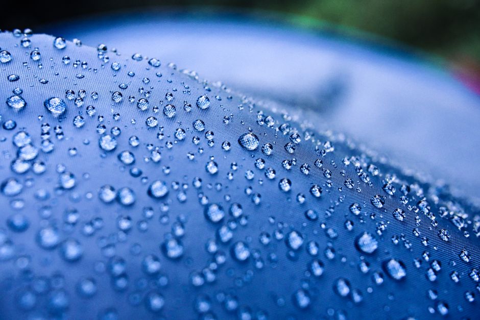 Can Pearls Get Wet? Water Exposure, Chipping Risk, and Surface Damage