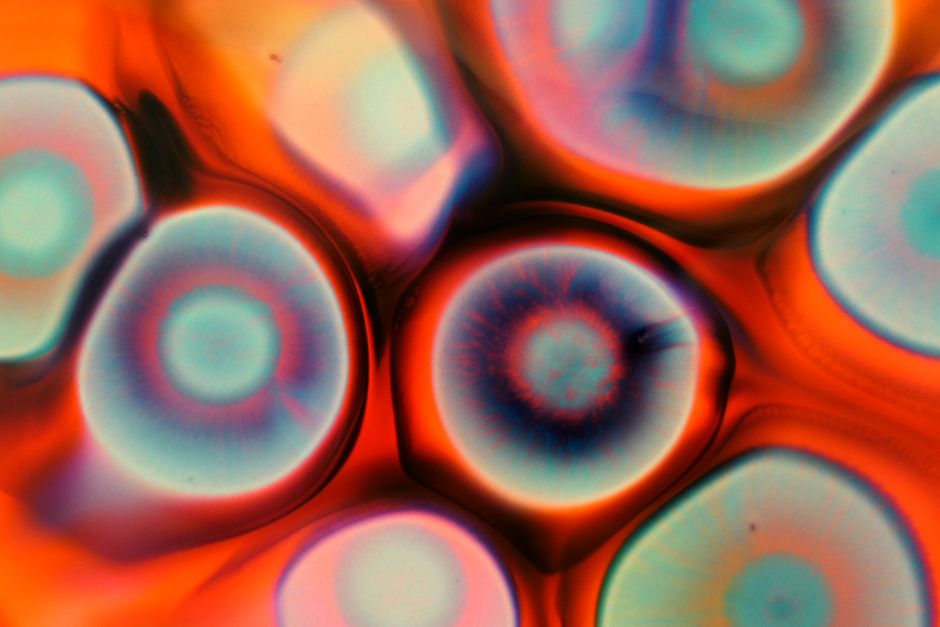 Why Dendritic Agate Shows No Play of Color: Interference Versus Inclusion Patterns
