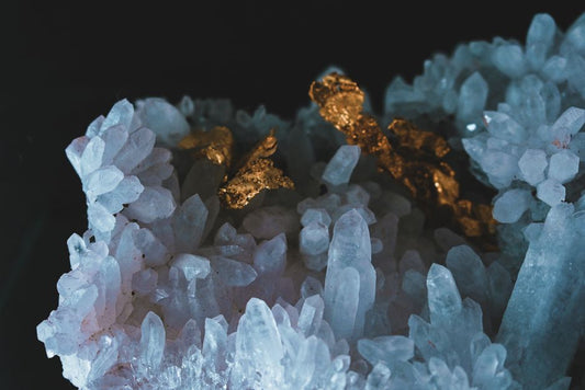 Coral as a Gem Material: Why It Is Neither Mineral nor Fossil