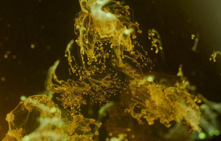 Light Scattering and the Limits of Visual Sorting in Heliodor