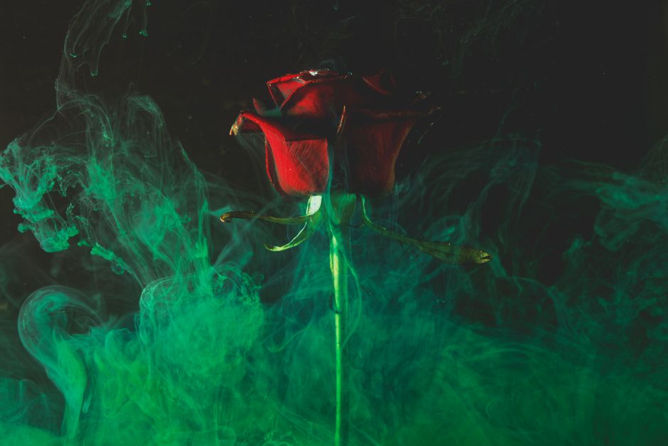 Bloodstone, Red and Green: What Color Symbolism Actually Adds to a Creativity Practice