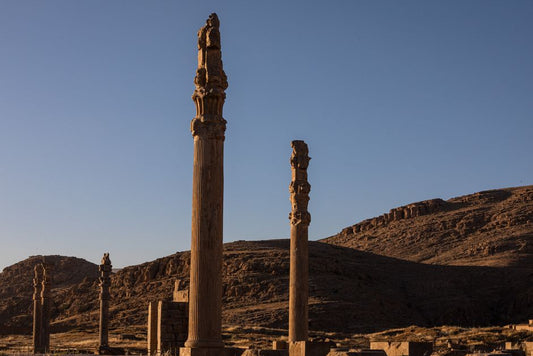 Carnelian Agate Seals and the Provincial Politics of Achaemenid Administration