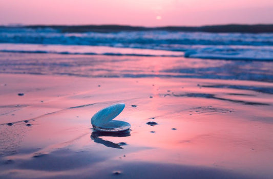 South Sea Pearl: How a Historic Trade Name Became a Geographic Category